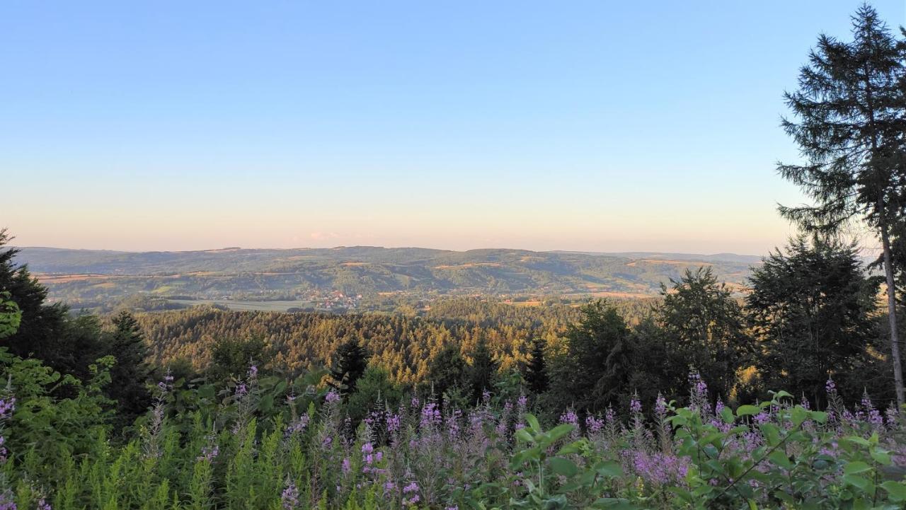 Panorama Strzyzow 빌라 외부 사진